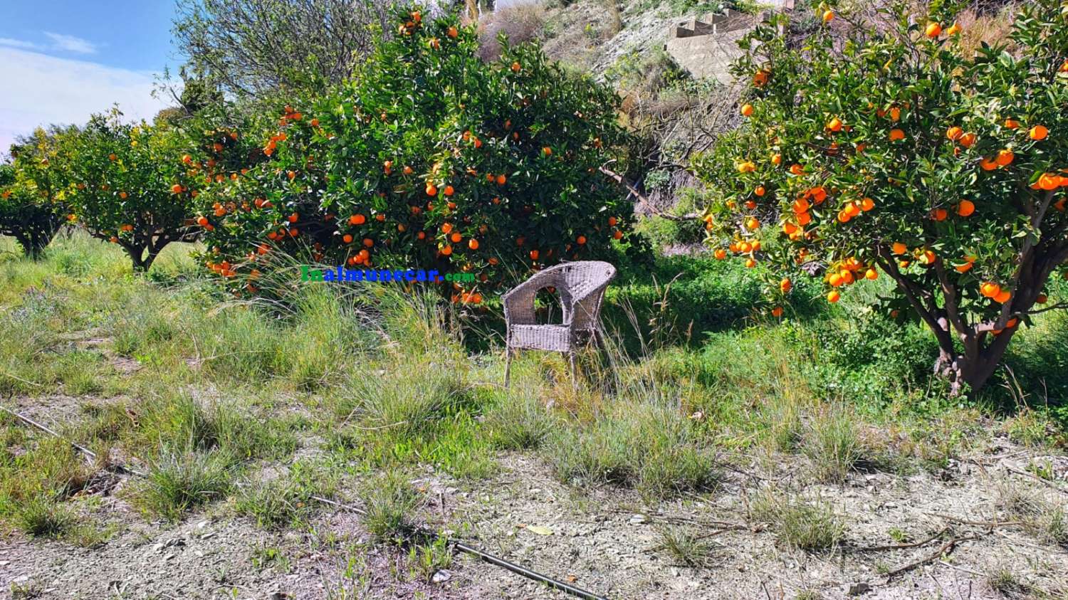Chalet de campo en venta situada en la Bahía de La Herradura, Andalucía.