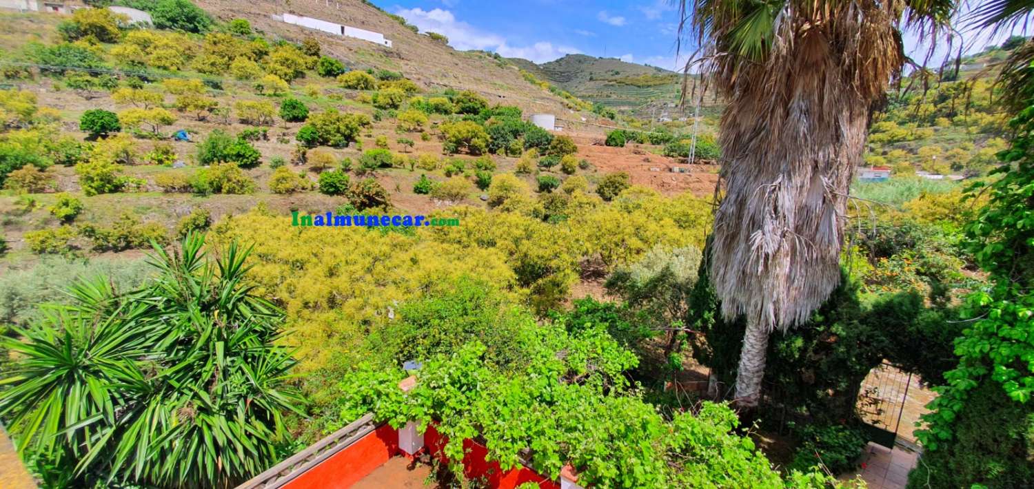 Maison de campagne à vendre très proche du centre d’Almuñécar, avec grande piscine.