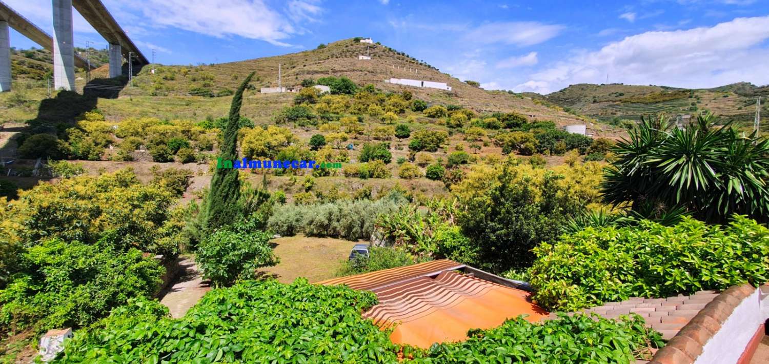 Maison de campagne à vendre très proche du centre d’Almuñécar, avec grande piscine.