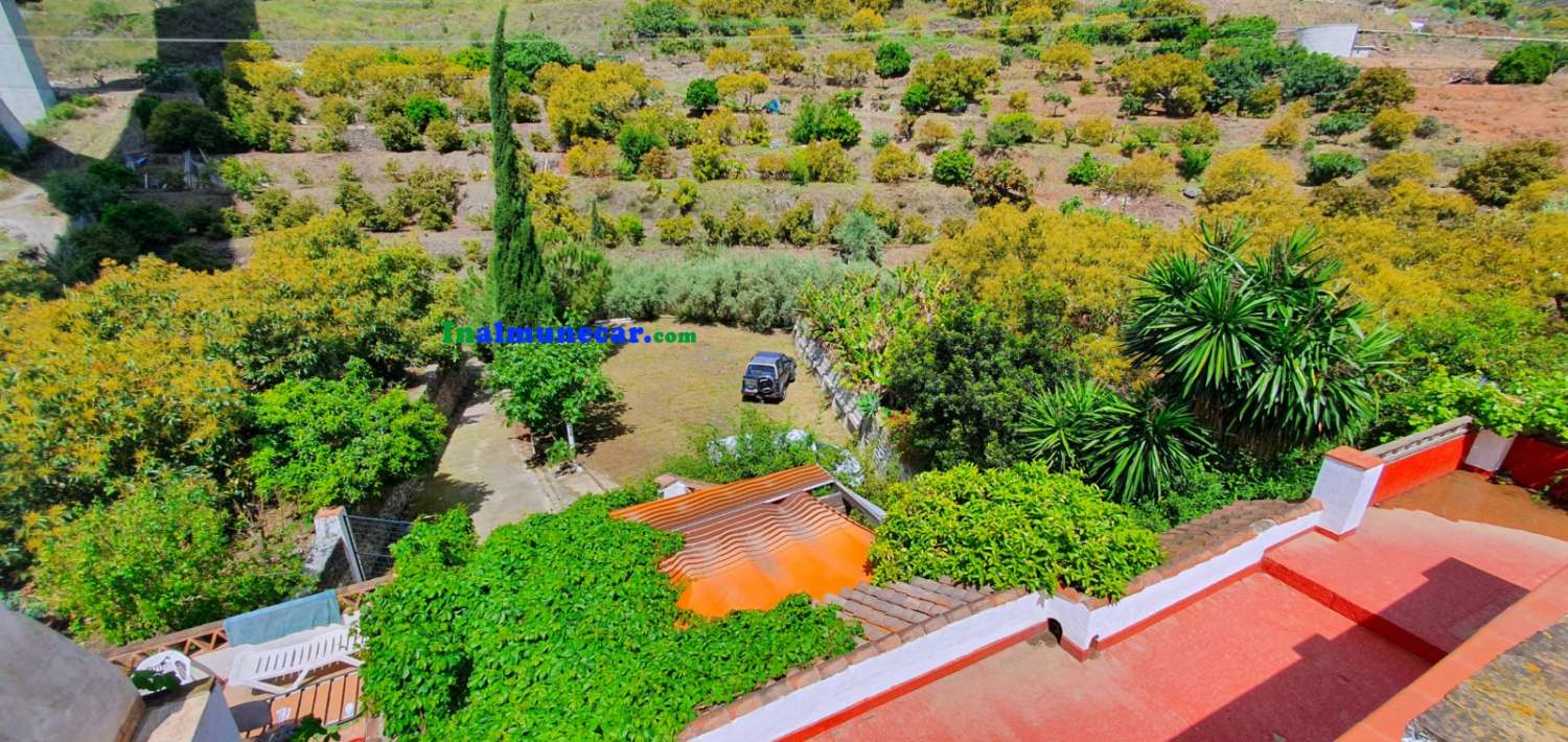 Maison de campagne à vendre très proche du centre d’Almuñécar, avec grande piscine.