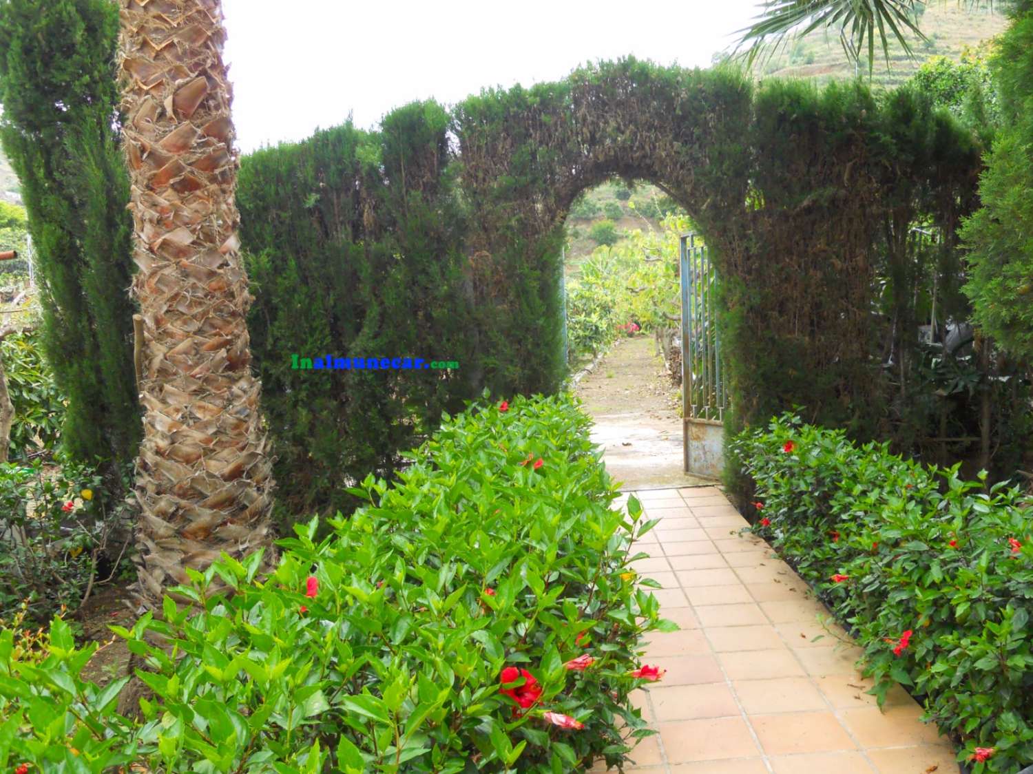 Country house for sale very close to the centre of Almuñécar, with large swimming pool.