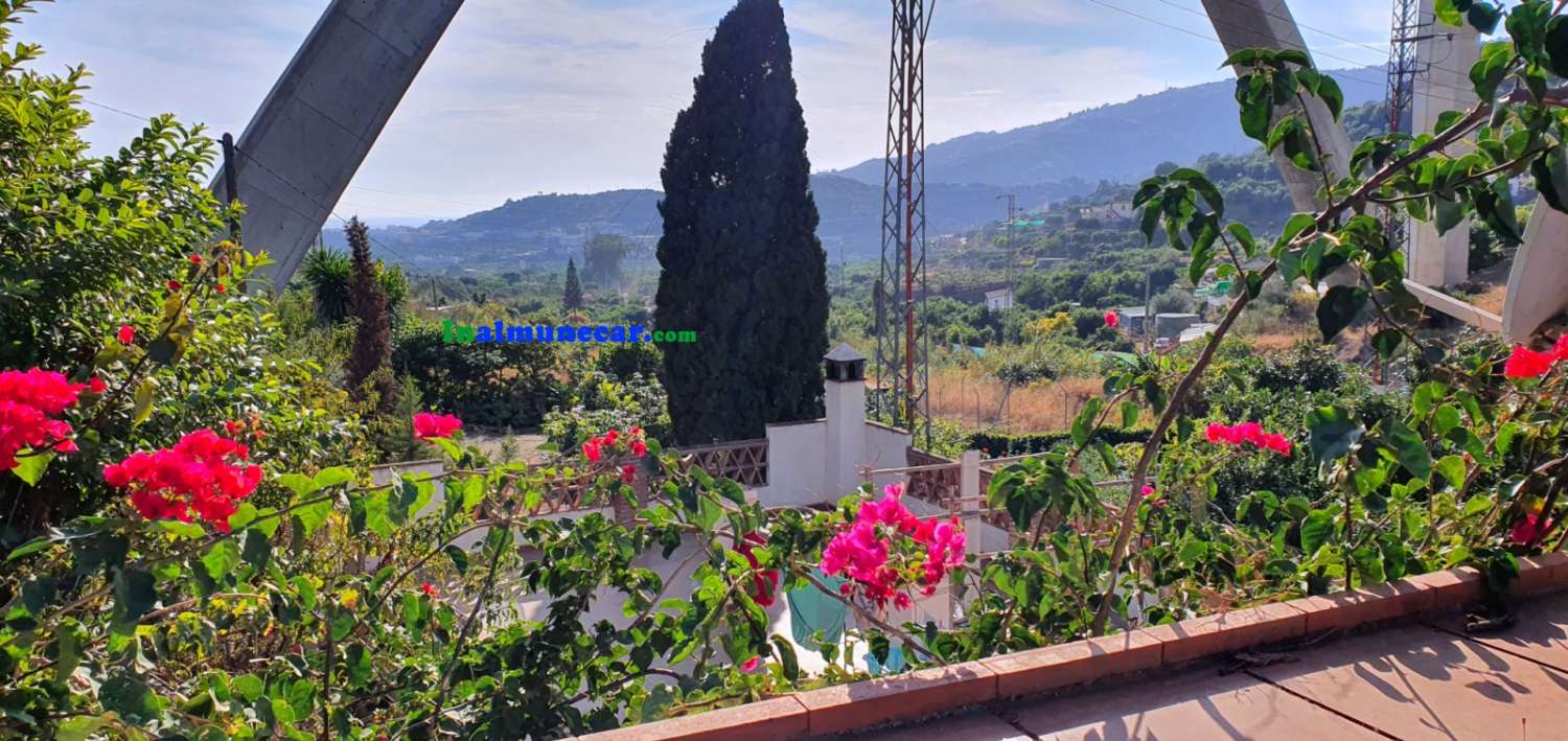 Maison de campagne à vendre très proche du centre d’Almuñécar, avec grande piscine.