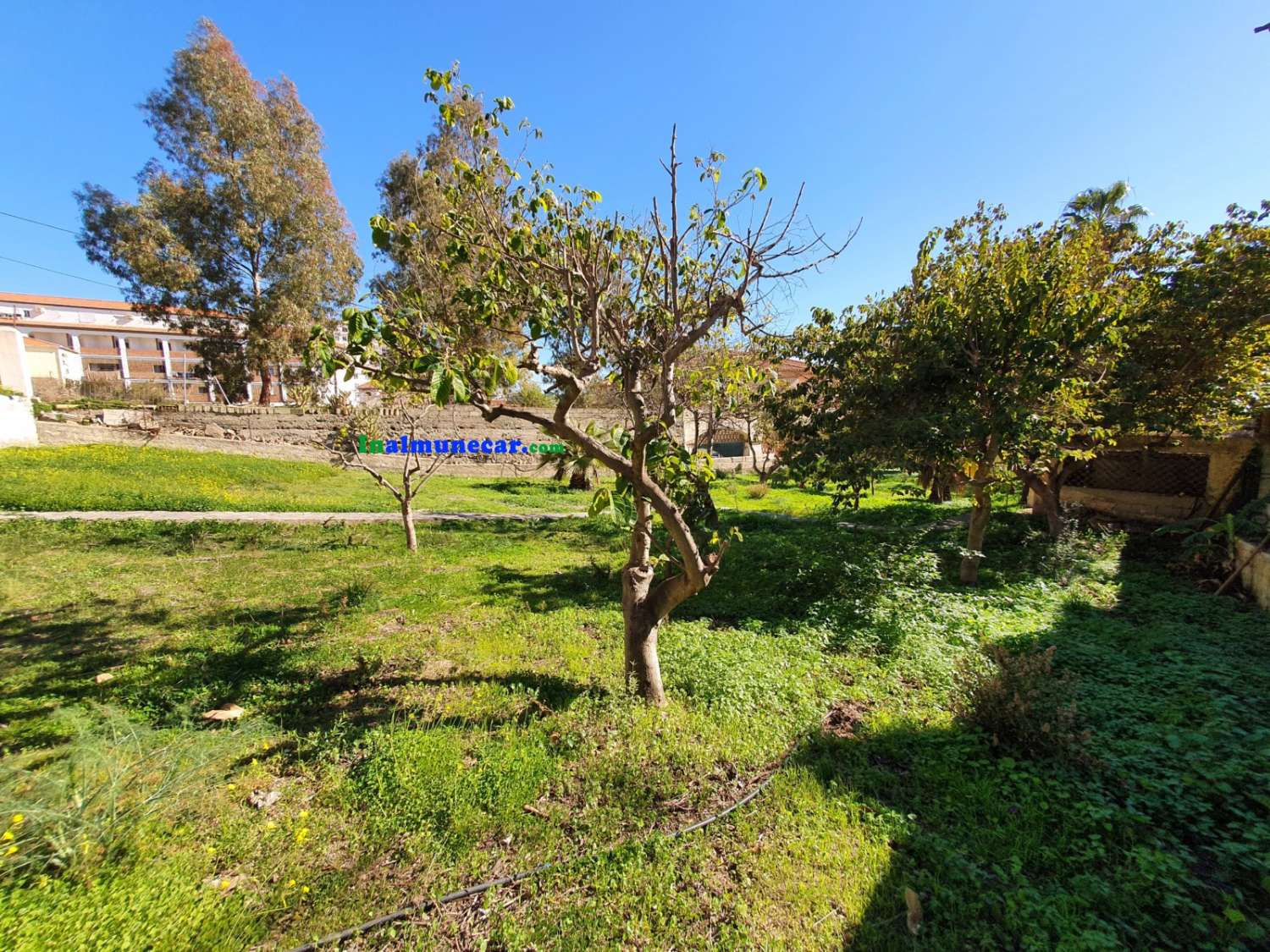Villa zum Verkauf in Almuñecar, in der Nähe des Strandes von San Cristobal mit einem riesigen Garten mit Obstbäumen