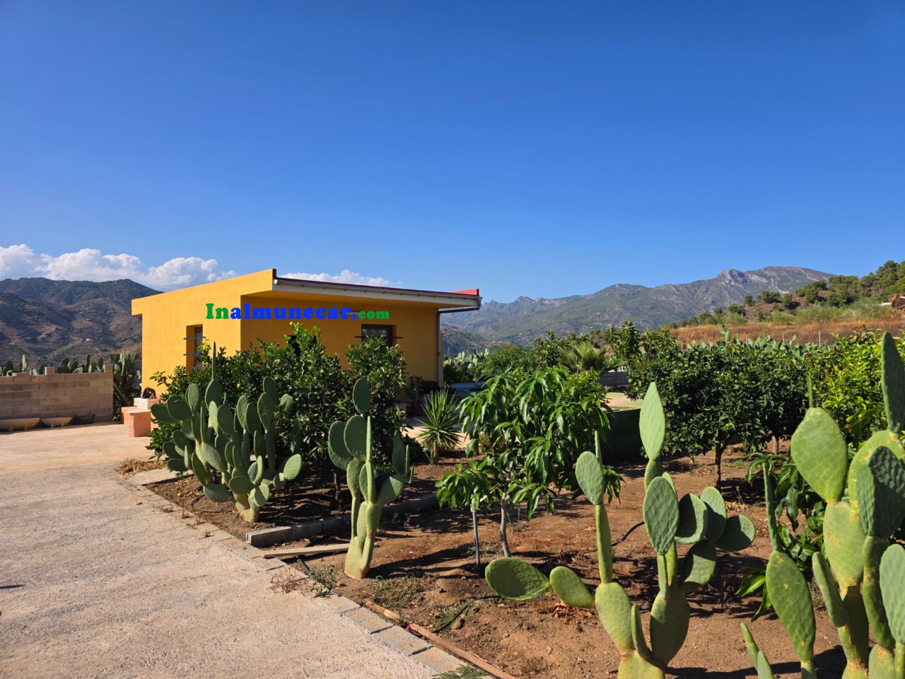 Schöne Finca zum Verkauf in der Produktion