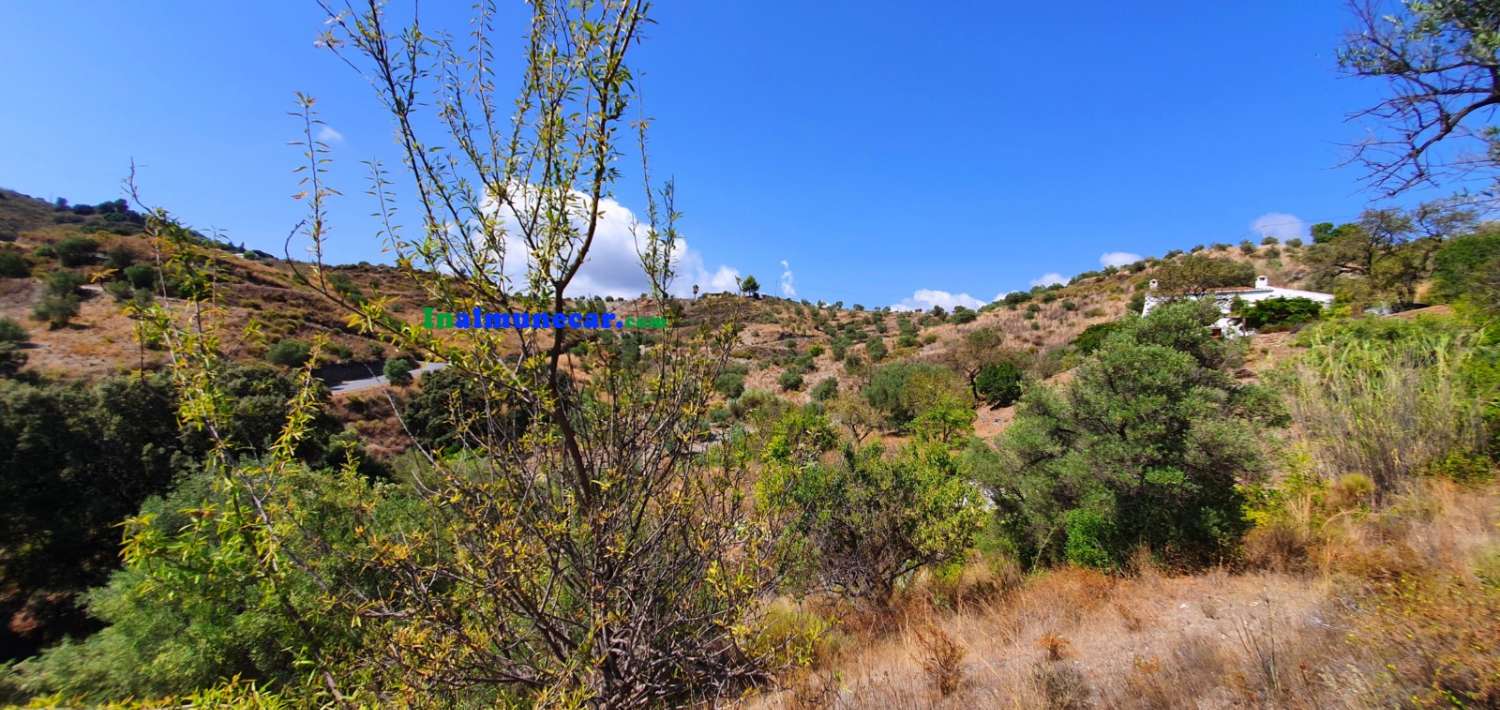 Se vende Cortijo con piscina, a tan solo 20 minutos de Almuñécar por carretera asfaltada.